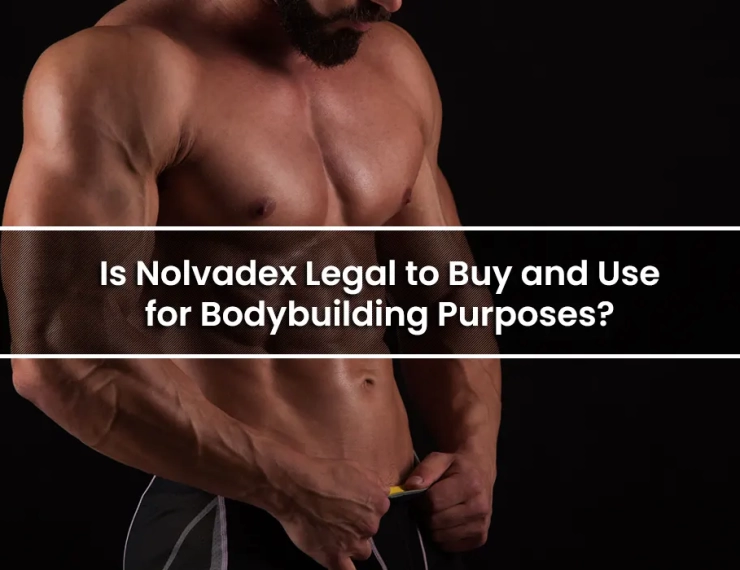 Is Nolvadex Legal to Buy and Use for Bodybuilding Purposes?