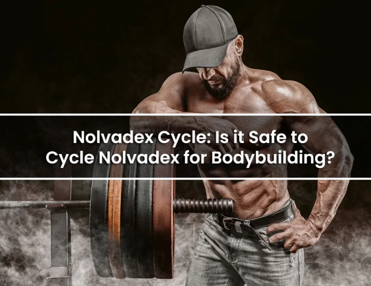 Nolvadex Cycle: Is it Safe to Cycle Nolvadex for Bodybuilding?