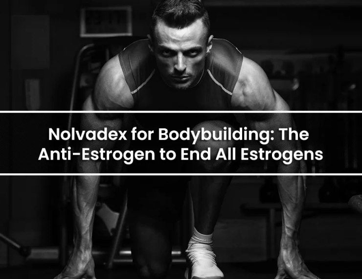 Nolvadex for Bodybuilding