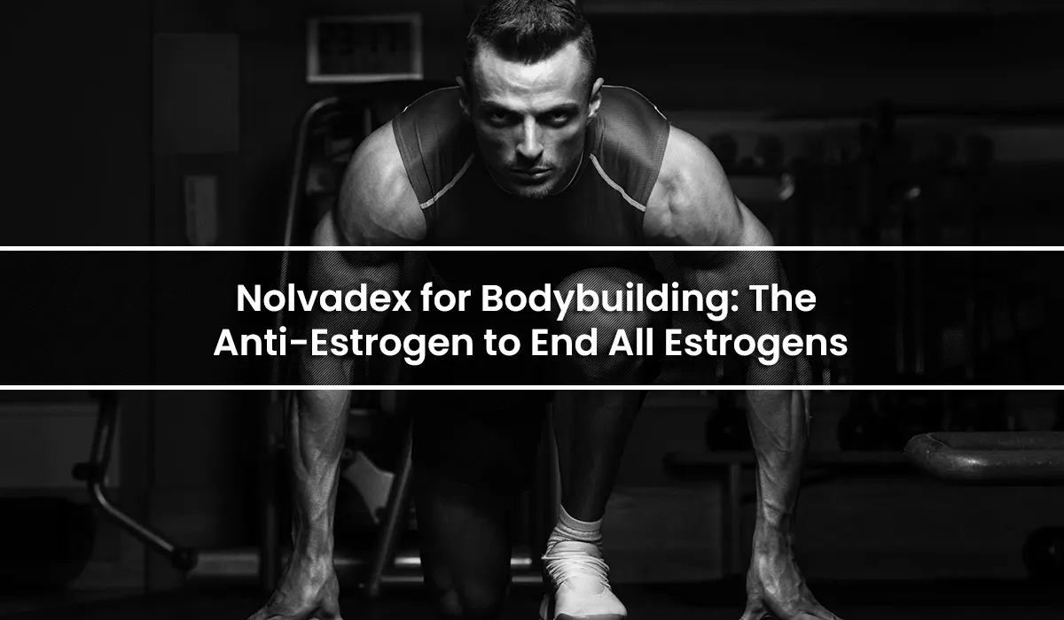 Nolvadex for Bodybuilding