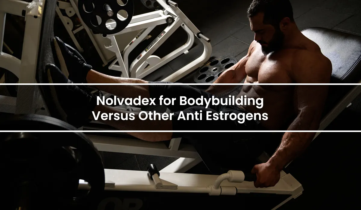 Nolvadex for Bodybuilding Versus Other Anti Estrogens