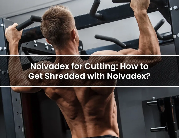 Nolvadex for Cutting: How to Get Shredded with Nolvadex?