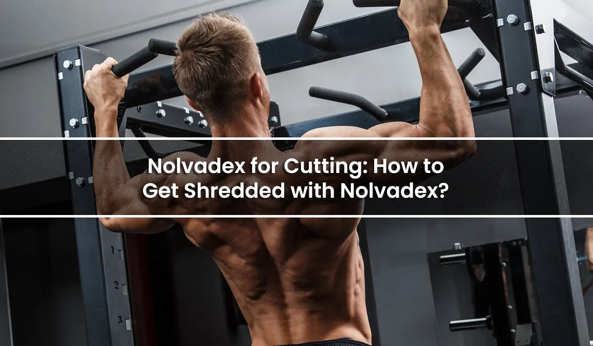 Nolvadex for Cutting: How to Get Shredded with Nolvadex?