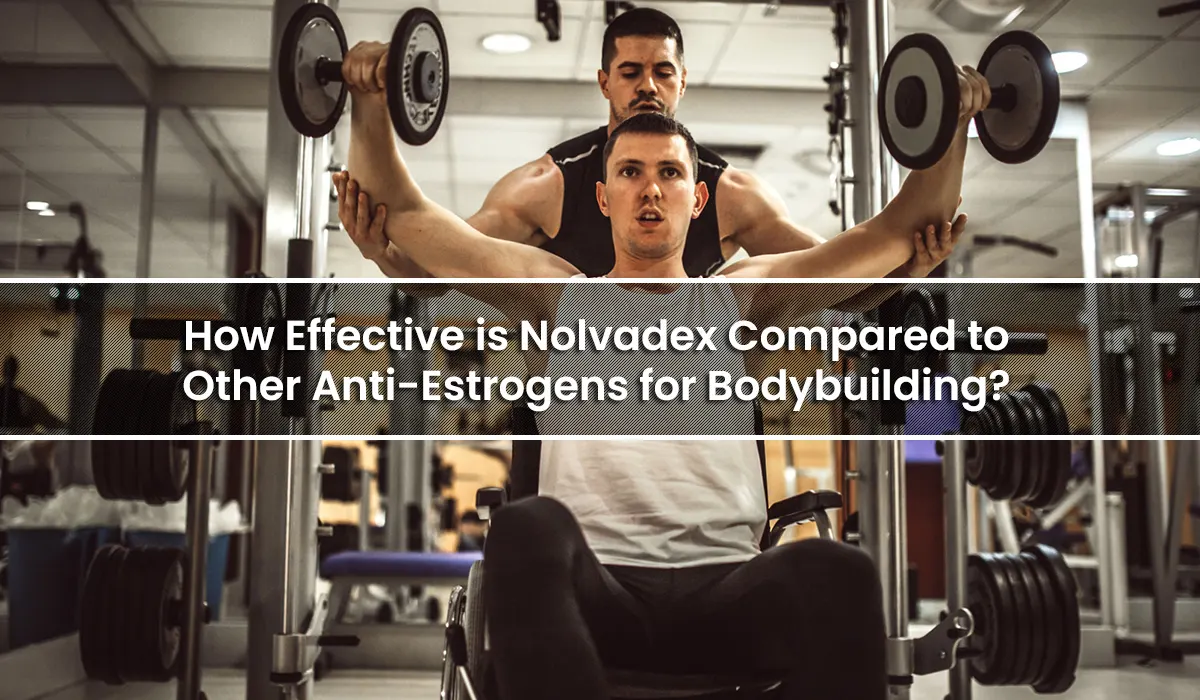 How Effective is Nolvadex Compared to Other Anti-Estrogens for Bodybuilding?