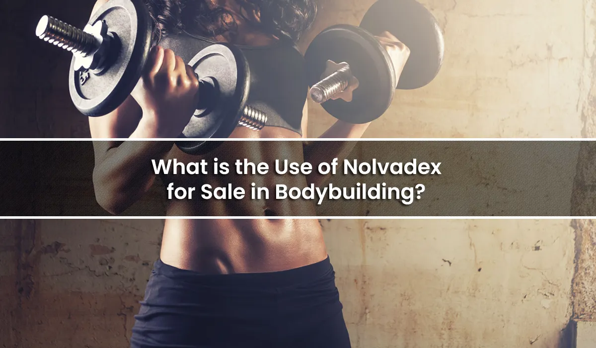 What is the Use of Nolvadex for Sale in Bodybuilding?